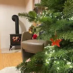 Semesterbostad - Czorsztyn - Pieniny Mizerna