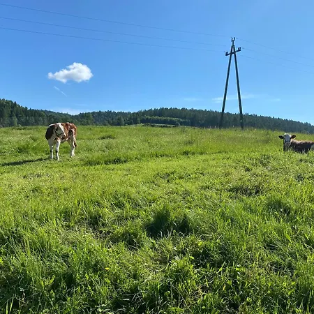 - Czorsztyn - Pieniny *