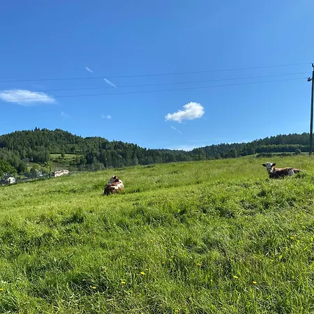 - Czorsztyn - Pieniny Semesterbostad *